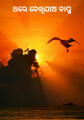 ଥରେ ଦେଖିଯାଅ ବାପୁ