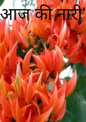 " आज की नारी"