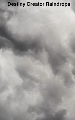 𝗗𝗲𝘀𝘁𝗶𝗻𝘆 𝗖𝗿𝗲𝗮𝘁𝗼𝗿 𝗥𝗮𝗶𝗻𝗱𝗿𝗼𝗽𝘀