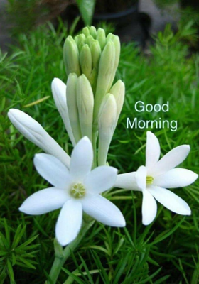 जिंदगी तेरी मेरी कहानी