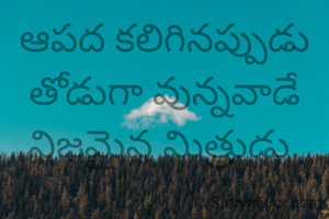 ఆపద కలిగినప్పుడు తోడుగా వున్నవాడే నిజమైన మిత్రుడు.