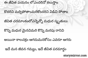 ఈ జీవిత పయనం...
