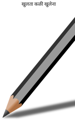 खुलता कळी खुलेना