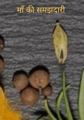 माँ की समझदारी