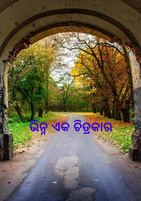 ଭିନ୍ନ ଏକ ଚିତ୍ରକାର