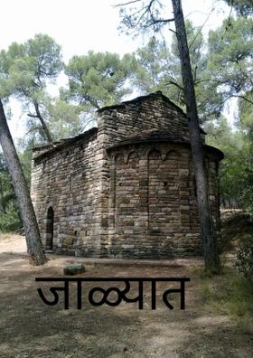 जाळ्यात