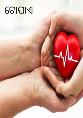 ଟୋପାଏ ଜୀବନ