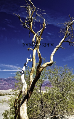 रुबाब-ए-असबाब