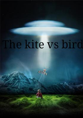 The K Vs. Bird