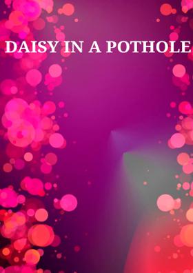 Daisy In A Pothole