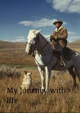 My Journey With Life