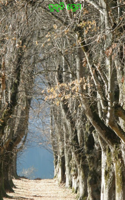 ପ୍ରକୃତି ପ୍ରେମ