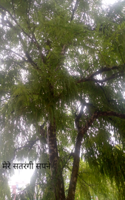 मेरे सतरंगी सपने