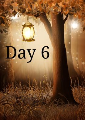 Day 6