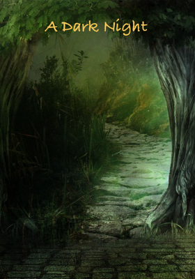 A Dark Night
