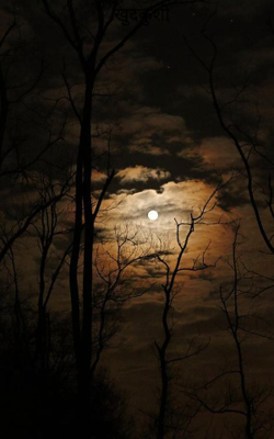 खुदकुशी