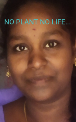 NO PLANT NO LIFE...
