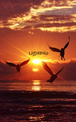 பறவை