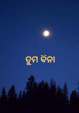 ତୁମ ବିନା