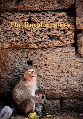 The Royal Monkey