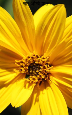 चार ओळी फक्त