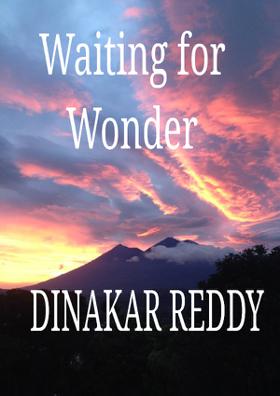 Waiting For Wonder