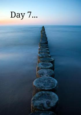Day 7