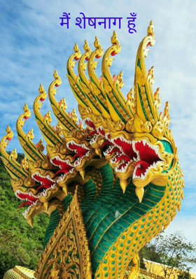 मैं शेषनाग हूँ