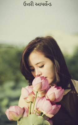 ઉત્તરી આયર્લેન્ડ