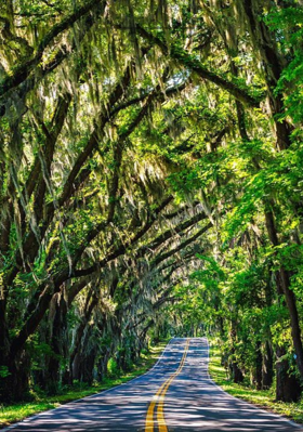 धुंद दिशा