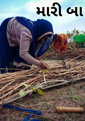 મારી બા
