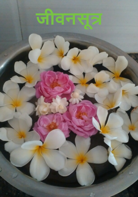 जीवनसूत्र