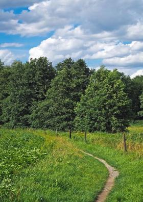 ଦେବଯାନୀ (ସପ୍ତଦଶ କଳିକା)