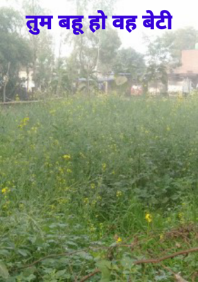 तुम बहू हो वह बेटी