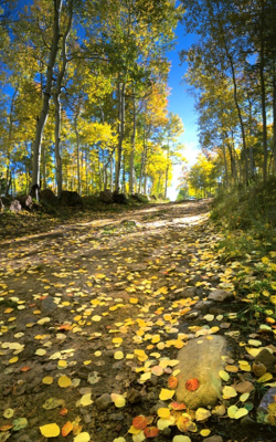 વિશ્વ પર્યાવરણ દિવસ