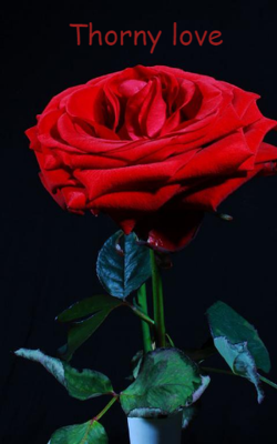 Thorny Love
