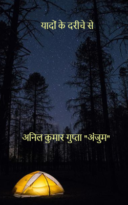 यादों के दरीचे से