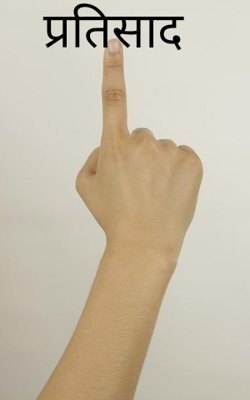 प्रतिसाद