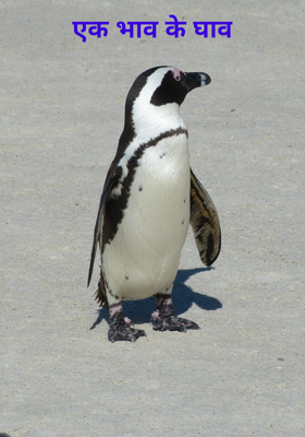 एक भाव के घाव