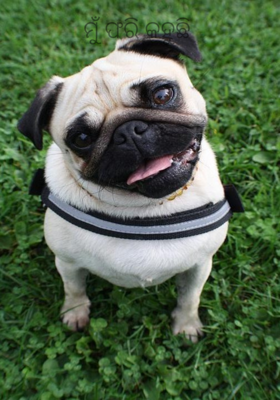 ମୁଁ ଫରି କହୁଛି 