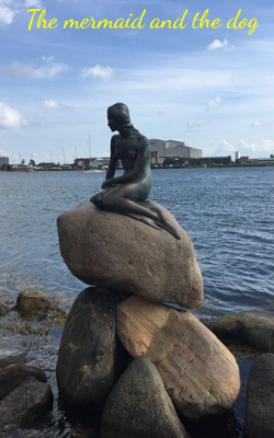 The mermaid and the dog