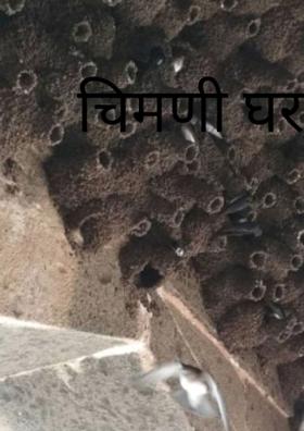 चिमणी घरटे...!