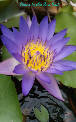 Here's To The Sun God