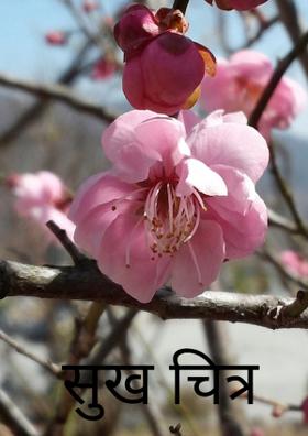 सुख चित्र