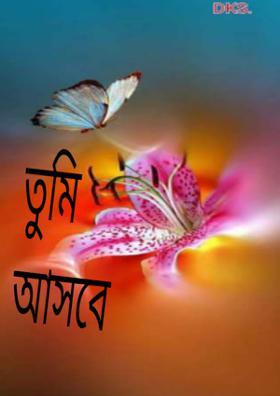 তুমি আসবে বলেই