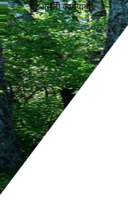 असली कामयाबी