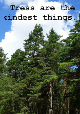 Tress are the kindest things.