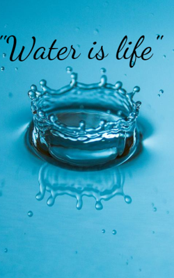 "Water Is Life"