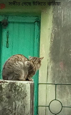 সঙ্গীত গেছে ঈঙ্গিতে থামিয়া