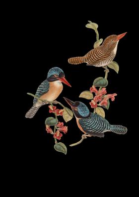 କୋରନା ପାଇଁ ଶିକ୍ଷା